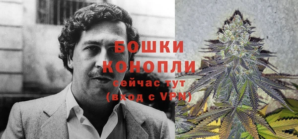 молекула духа Богородск