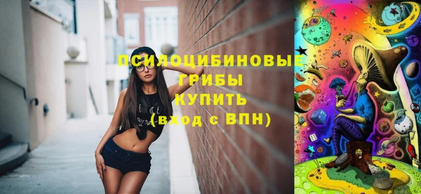 гидра Богородицк