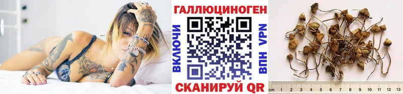 Псилоцибиновые грибы ЛСД  Купить  Менделеевск 